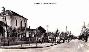 Djelfa - Mairie - 1955